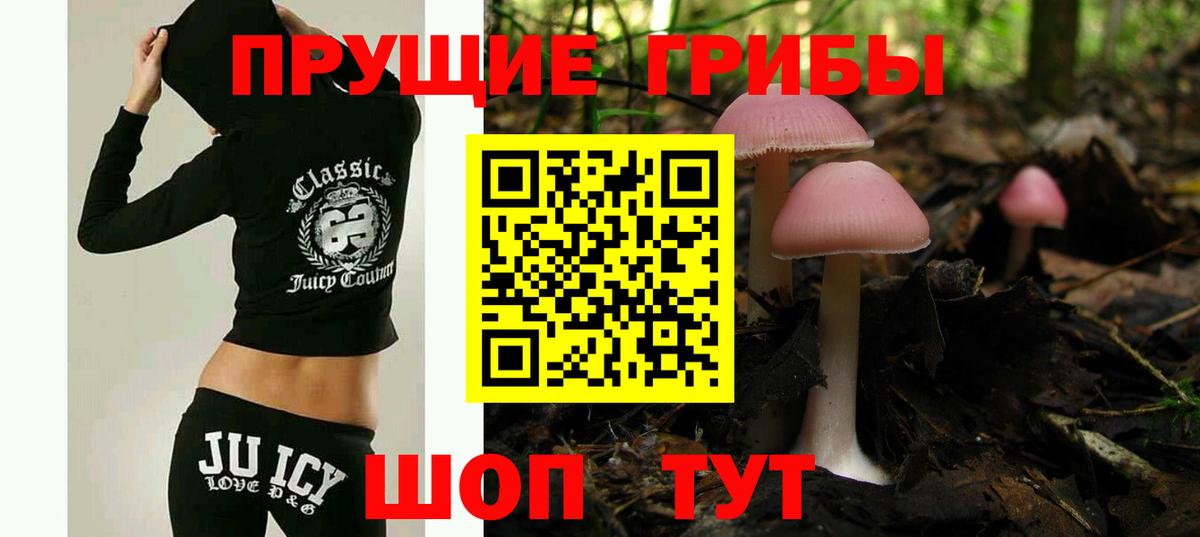 Псилоцибиновые грибы Psilocybine cubensis  Вход с VPN  Ирбит 